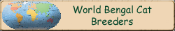 World Bengal Cat Breeders